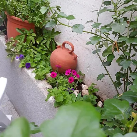 Apartment With A Parking Space Okrug Gornji, Ciovo - 22795 *
